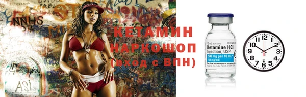 сатива Инта