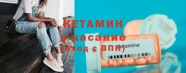 сатива Инта