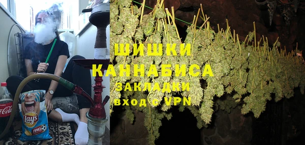 сатива Инта