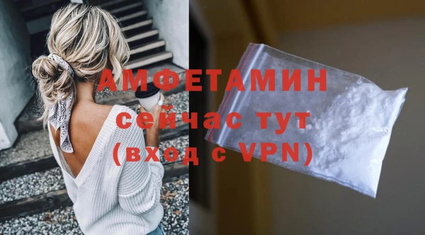 сатива Инта