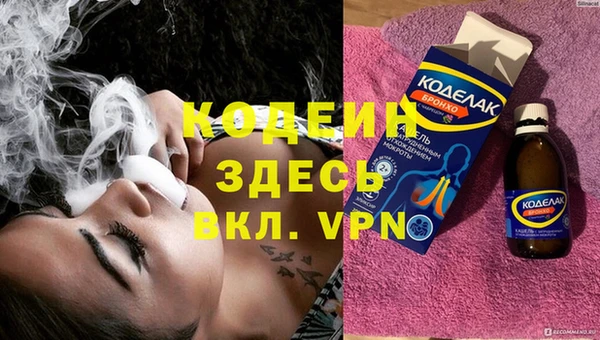 сатива Инта