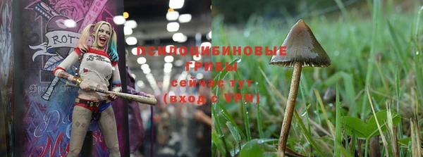 кокаин колумбия Иннополис