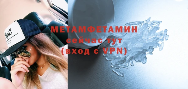 сатива Инта